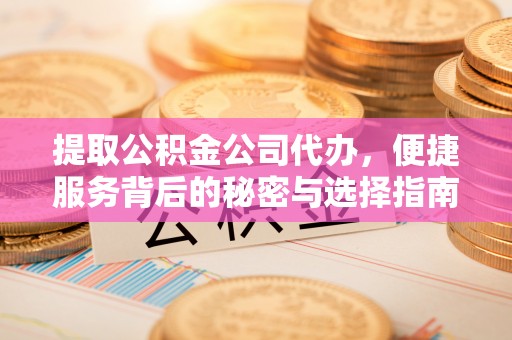 边坝提取公积金公司代办，便捷服务背后的秘密与选择指南