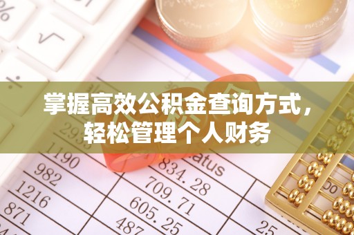 边坝掌握高效公积金查询方式，轻松管理个人财务