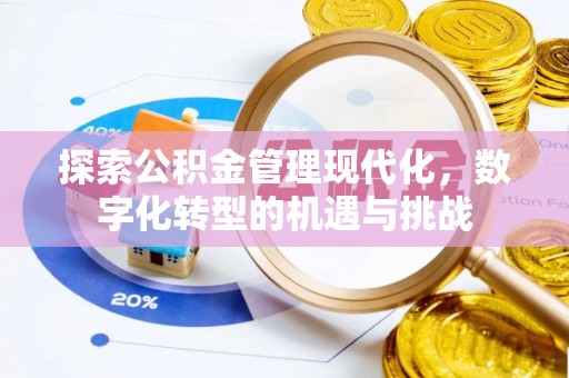边坝探索公积金管理现代化，数字化转型的机遇与挑战