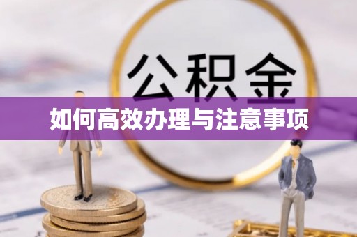边坝如何高效办理与注意事项