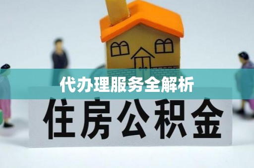 边坝代办理服务全解析