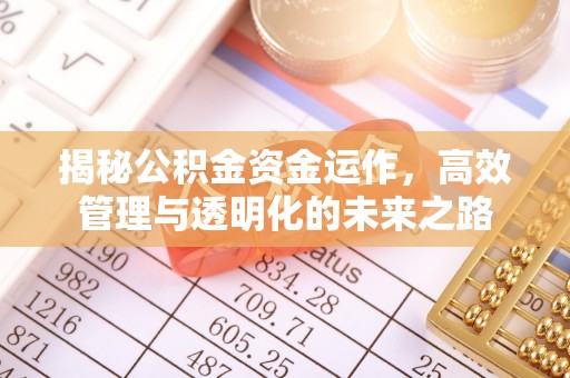 边坝揭秘公积金资金运作，高效管理与透明化的未来之路