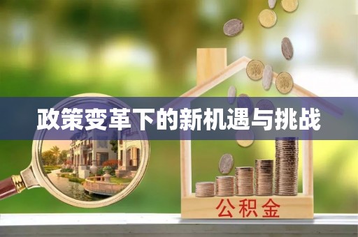 边坝政策变革下的新机遇与挑战