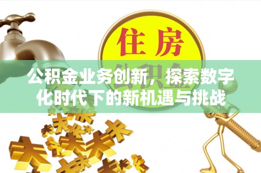 边坝公积金业务创新，探索数字化时代下的新机遇与挑战
