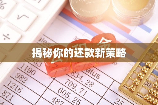 边坝揭秘你的还款新策略