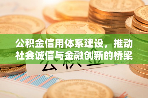 边坝公积金信用体系建设，推动社会诚信与金融创新的桥梁