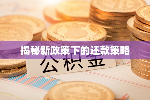 边坝揭秘新政策下的还款策略