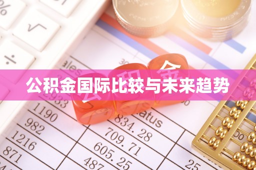 边坝公积金国际比较与未来趋势