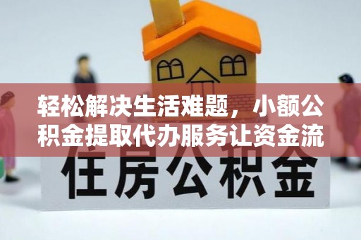 边坝轻松解决生活难题，小额公积金提取代办服务让资金流动更便捷