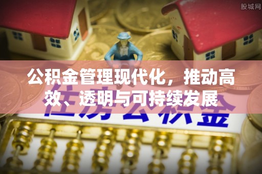 边坝公积金管理现代化，推动高效、透明与可持续发展