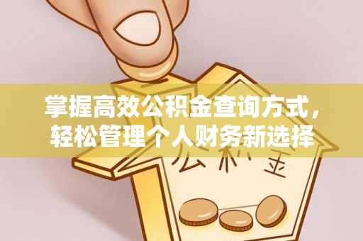 边坝掌握高效公积金查询方式，轻松管理个人财务新选择