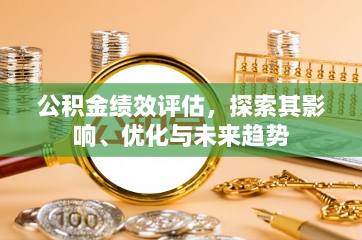 边坝公积金绩效评估，探索其影响、优化与未来趋势