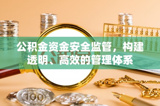 边坝公积金资金安全监管，构建透明、高效的管理体系