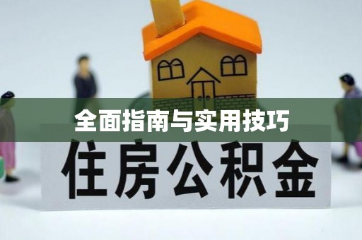 边坝全面指南与实用技巧