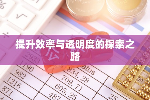 边坝提升效率与透明度的探索之路
