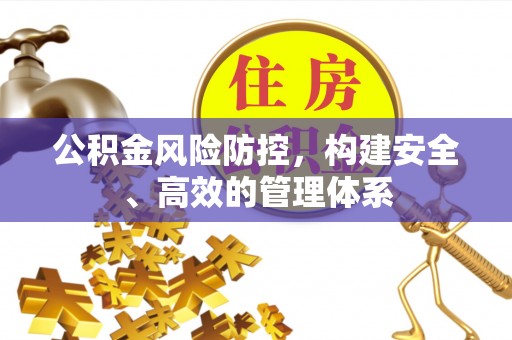 边坝公积金风险防控，构建安全、高效的管理体系
