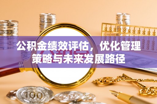 边坝公积金绩效评估，优化管理策略与未来发展路径