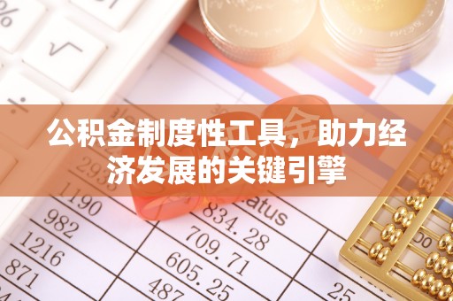 边坝公积金制度性工具，助力经济发展的关键引擎