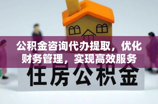 边坝公积金咨询代办提取，优化财务管理，实现高效服务