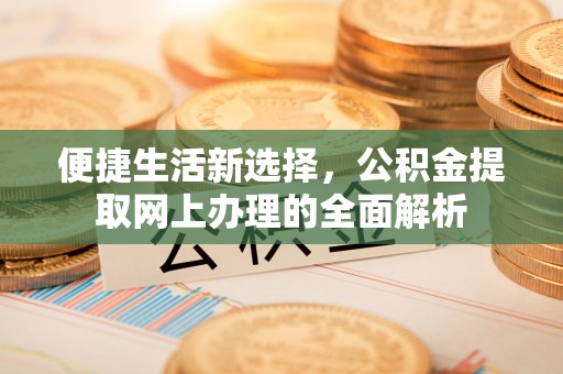 边坝便捷生活新选择，公积金提取网上办理的全面解析