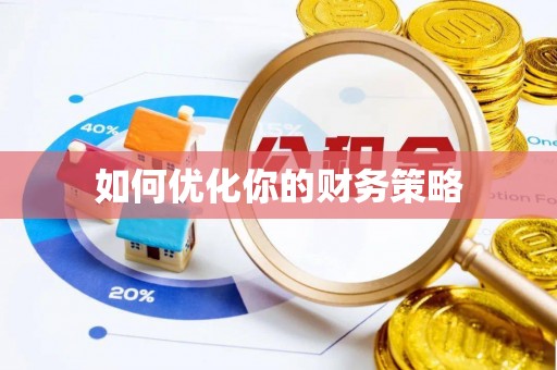 边坝如何优化你的财务策略