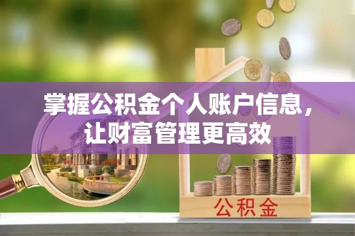 边坝掌握公积金个人账户信息，让财富管理更高效