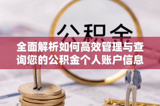 边坝全面解析如何高效管理与查询您的公积金个人账户信息