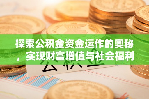 边坝探索公积金资金运作的奥秘，实现财富增值与社会福利双赢
