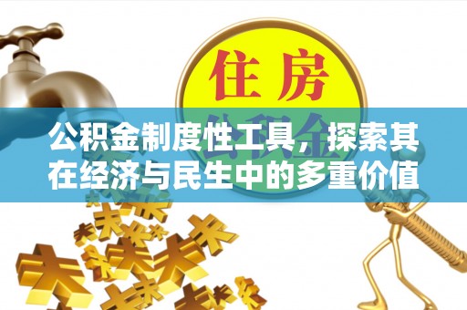 边坝公积金制度性工具，探索其在经济与民生中的多重价值