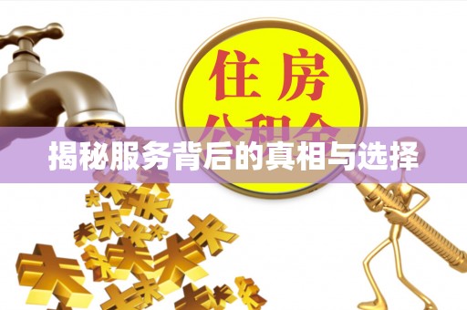 边坝揭秘服务背后的真相与选择