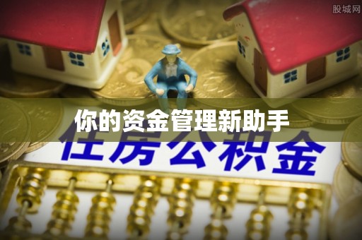 边坝你的资金管理新助手