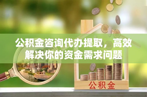 边坝公积金咨询代办提取，高效解决你的资金需求问题