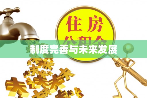 边坝制度完善与未来发展
