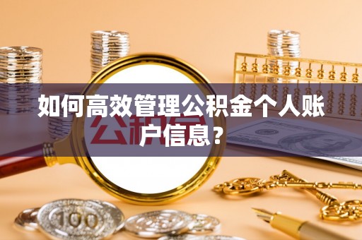 边坝如何高效管理公积金个人账户信息？