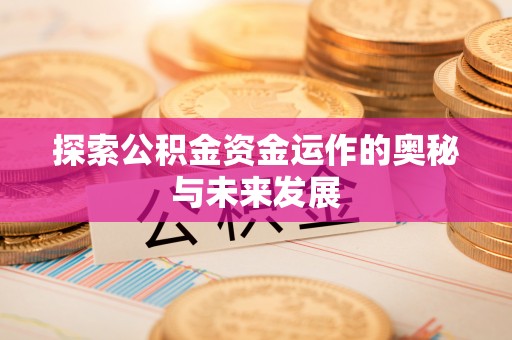 边坝探索公积金资金运作的奥秘与未来发展