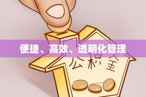 边坝便捷、高效、透明化管理