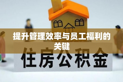 边坝提升管理效率与员工福利的关键