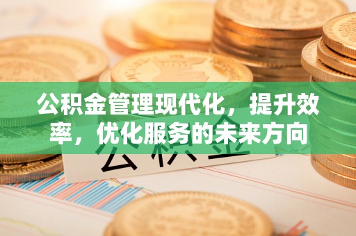 边坝公积金管理现代化，提升效率，优化服务的未来方向