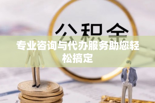 边坝专业咨询与代办服务助您轻松搞定