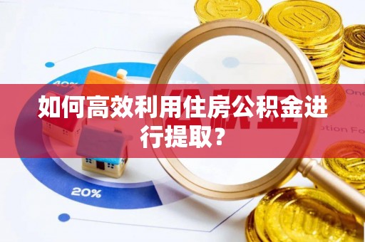 边坝如何高效利用住房公积金进行提取？