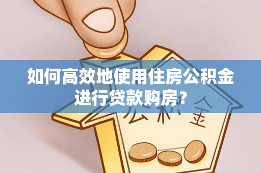 边坝如何高效地使用住房公积金进行贷款购房？