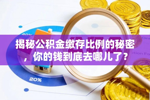 边坝揭秘公积金缴存比例的秘密，你的钱到底去哪儿了？