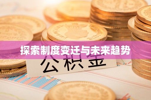 边坝探索制度变迁与未来趋势