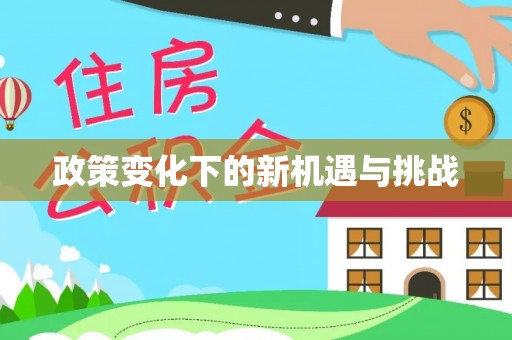 边坝政策变化下的新机遇与挑战