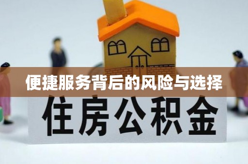 边坝便捷服务背后的风险与选择