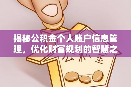 边坝揭秘公积金个人账户信息管理，优化财富规划的智慧之选