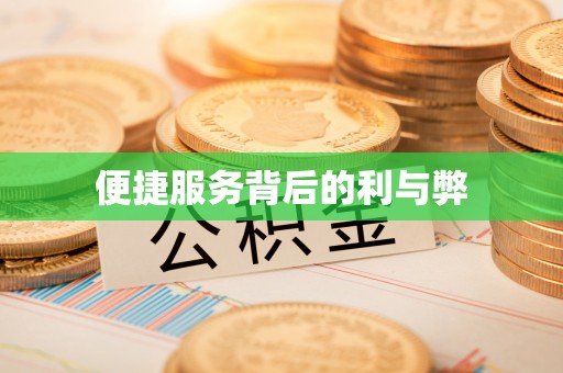 边坝便捷服务背后的利与弊