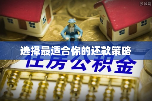 边坝选择最适合你的还款策略