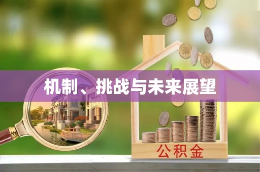 边坝机制、挑战与未来展望