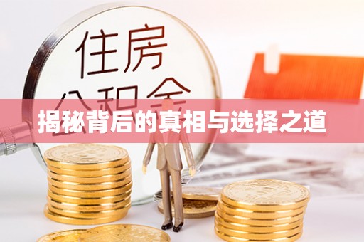 边坝揭秘背后的真相与选择之道
